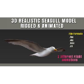 HIGH DETAILED SEAGULL 3D MODEL  FULLY RIGGED & ANIMATED